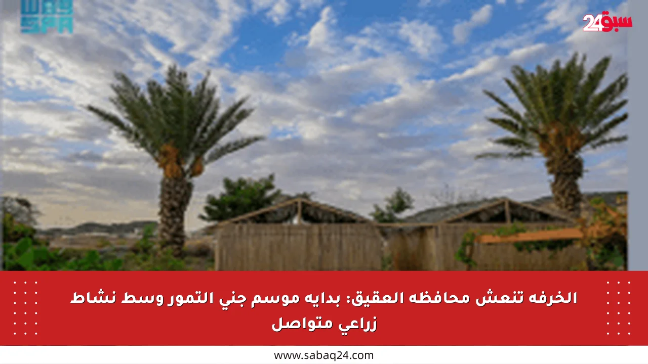 الخرفة تنعش محافظة العقيق: بداية موسم جني التمور وسط نشاط زراعي متواصل